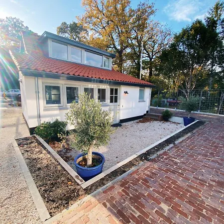 Cozy Historical ואסנאר