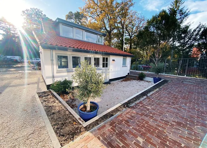 Cozy Historical Wassenaar